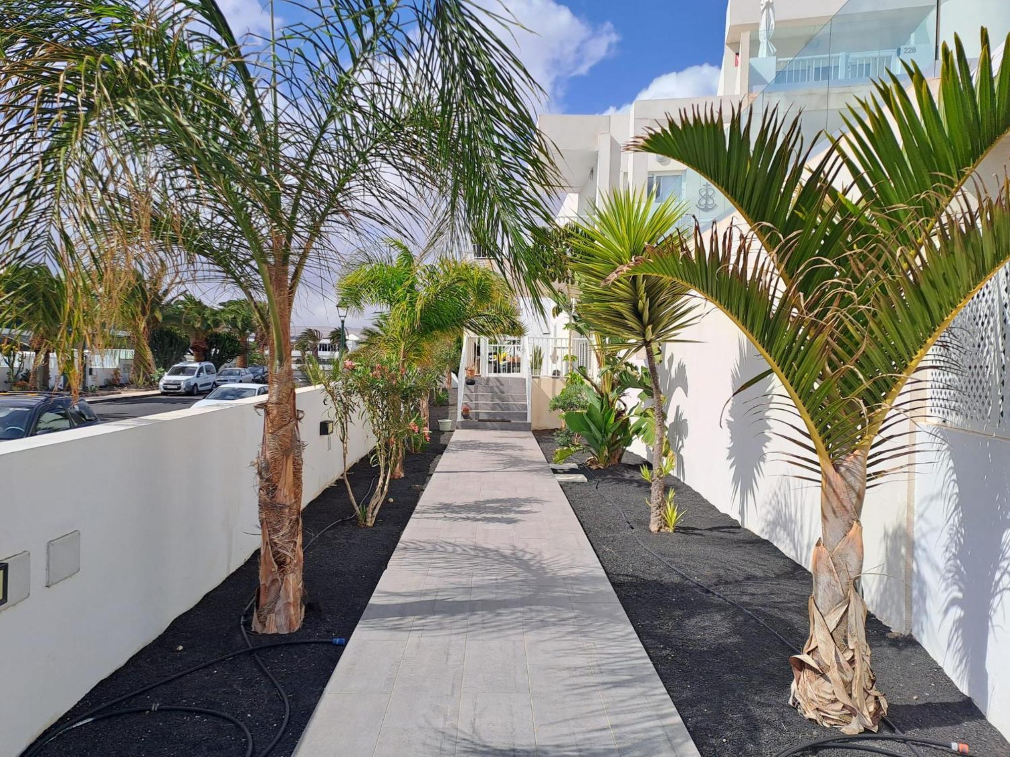 Luxury Sea View Senator Lanzarote Apartment Costa Teguise Exterior photo